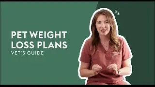 Pet Weight Loss Plans &middot; Vet's Guide