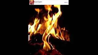 Live view Jan 20 fireplace