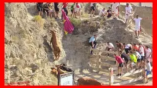 ARGUEDAS ( NAVARRA ) TARDE ENCIERRO DEL ESTRECHO ( SABADO 12 AGOSTO 2023 ) GANAD.USTARROZ