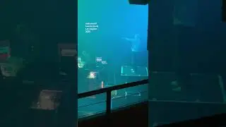 Underworld Juanita Live In Los Angeles 2025