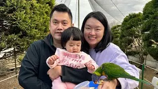 Canberra Day Trip : Cockington Green Gardens, Stripey Sundae and Walkin Aviary