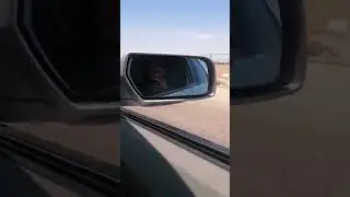 pollito Racing