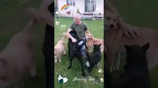 Помощь для животных ❤️