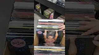 New Vinyl & CD Releases for Friday, September 20th!