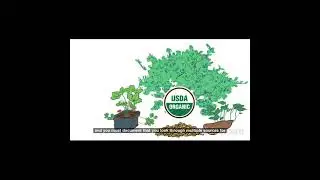 USDA Organic??  What Exactly is That?