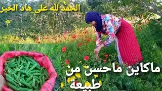 قالولي مريضة ومشيت كانجري..أجواء فصل ربيع في بني أحمد إقليم شفشاون