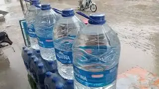 Barsati vilog dadu