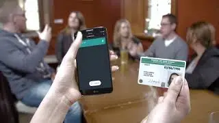 Digital licences