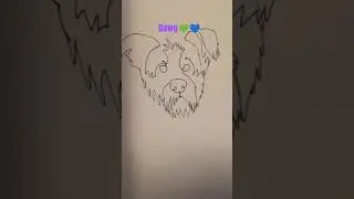 one line art/dog💙💚🩵💜🩷