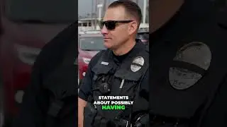 Possible Gun: Police Encounter & Vehicle Walkthrough #shorts