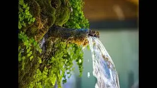 Das Tor zum Reinen Wasser