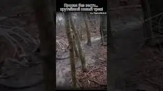 Сборка лучшего за неделю от NeiroMolot  #rockcover  #музыка  #rock  #musicvideo  #neiromolot