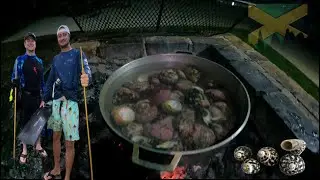 Catching Monster Whelks & Lionfish [ Catch Clean Cook ] With south Florida Fishing Channel