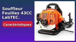 AVIS (2025) : Souffleur Feuilles 43CC LabTEC. D&Eacute;TAILS ESSENTIELS