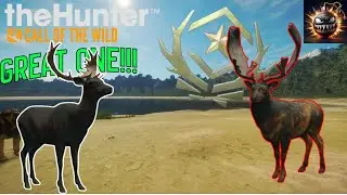 Killing my 19th Great One Fallow Deer!!! The Hunter: call of the wild