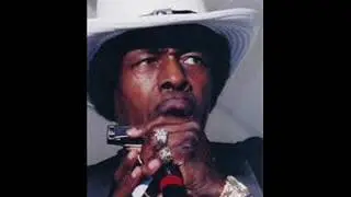 Junior Wells - Chestnut Cabaret  Philadelphia. 1994