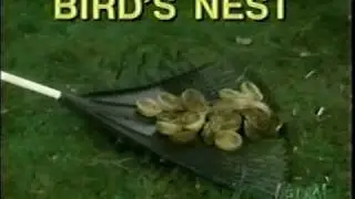 Mad TV Wonder Rake