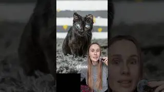 ИЗ-ЗА ПЕРЕНЕСЕННОЙ БОЛЕЗНИ У ЭТОГО КОТЕНКА ОЧЕНЬ БОЛЬШИЕ ГЛАЗА