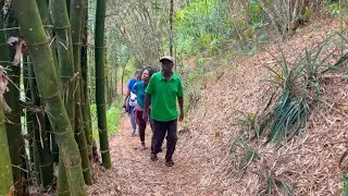 Antanetiambo Nature Reserve