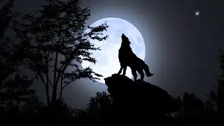 Nature&rsquo;s Lullaby