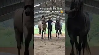 Multitasking next level 🙈  Ich bewundere wirklich ALLE Leute die zwei Pferde gleichzeitig arbeiten!