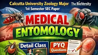 Medical Entomology | CU 1st Sem Zoology SEC Paper | PYQ + Important Topics #calcuttauniversityexam