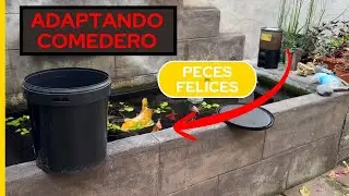 Transformé un comedero común para mi estanque, económico