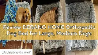 Review DEBANG HOME Orthopedic Dog Bed for Large, Medium Dogs Breeds, Dog Sofa Beds with Pillow,High