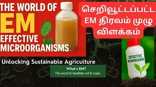 Concentrated EM Microorganisms in Agriculture: Complete Guide for Soil, Yield & Disease Control
