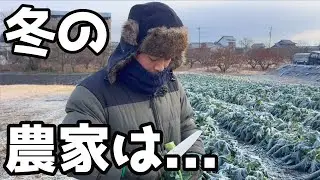 【－4℃】冬の農家のリアルな現状
