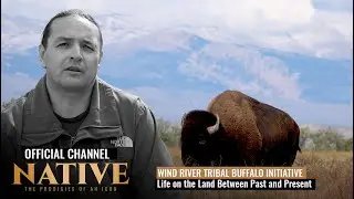 Wind River Reservation Tribal Buffalo Initiative | Life on the Land Between Past and Present