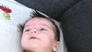 Perica i gugutanje