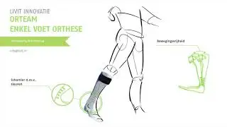 Orteam evo