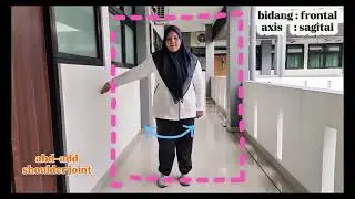 Body plane and movement of the body