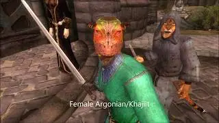 Oblivion: Unused Guard Dialogue All Races Have