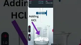 What is Neutralization Reaction ? #shorts  #fun #trendingshorts #youtubeshorts #ytshortsvideo