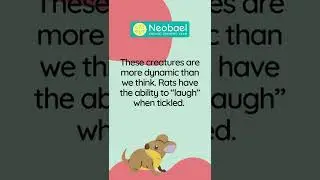 Did You Know That? Rats