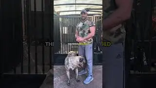 1 миллион подписчиков в TikTok