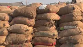 Dry Fish through Winter Bag Net Fishery