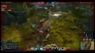 (Gw2 HoT B&ecirc;ta) Test Dragon hunter longbow m&eacute;ditation