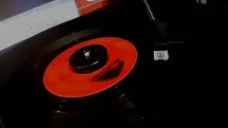 Bobby Fuller Four -  My True Love - vinyl 45