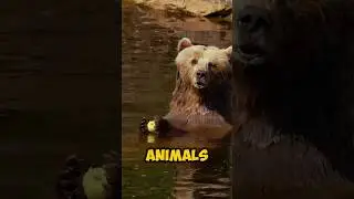 You Won&rsquo;t Believe How These Animals Talk!