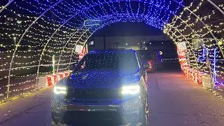 Electric Light Festival 2025 ( E.L.F ) 🎄 