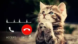 @ringtonemines 🐈 Cute Sms message ringtone Message Tone new sms ringtine Notification Tone