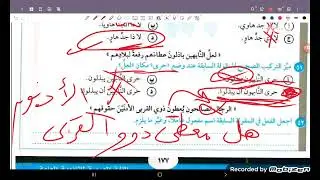 حل النموذج الثاني عشر والنموذج الثالث عشر من بيان المراجعة النهائية ٢٠٢٤ ( نحو وتعبير )