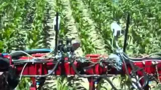 Weedseeker
