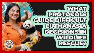 What Protocols Guide Difficult Euthanasia Decisions In Wildlife Rescue? - Animal Care Jobs