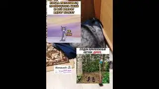 Мем 96 @Venzush #хочуврек #мем #мемчики