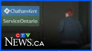 Pay suspension partially overturned for councillor