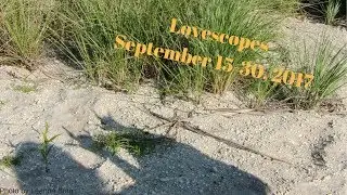 Libra Lovescopes September 15 - 30, 2017!